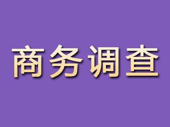 江海商务调查